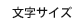 文字サイズ