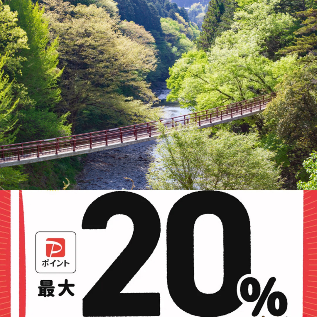 あきる野市paypay対象店舗