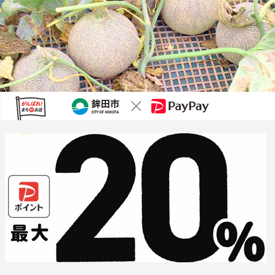 鉾田市paypay対象店舗