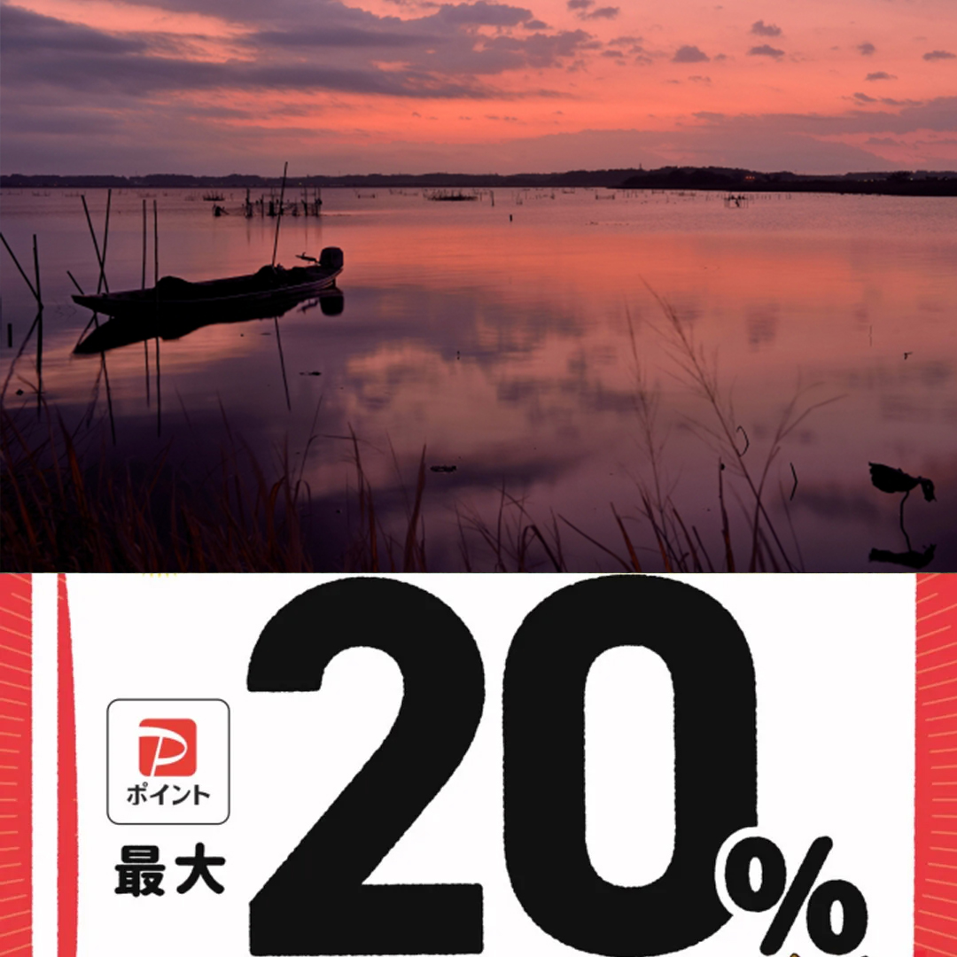 印西市paypay対象店舗