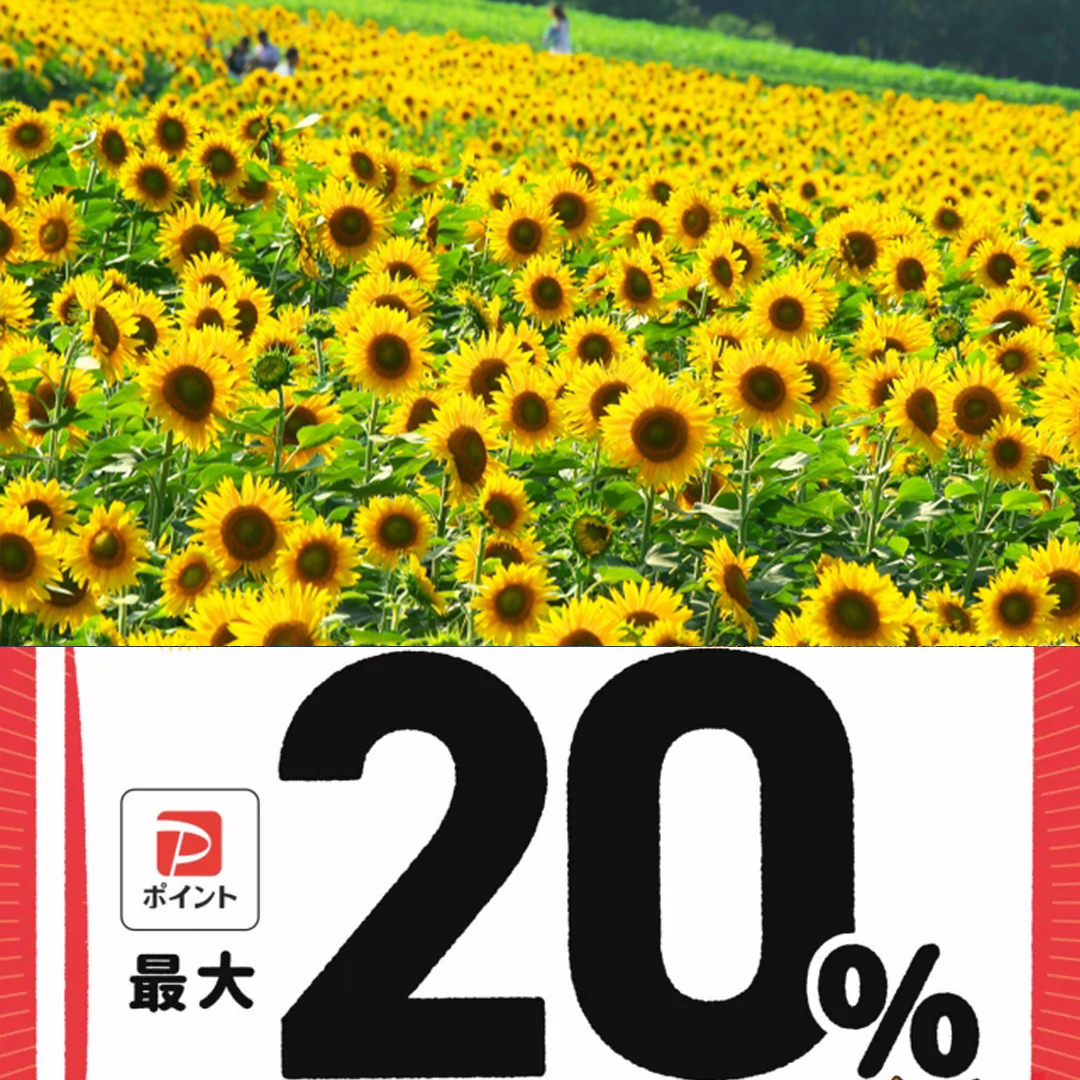 加古川市paypay対象店舗