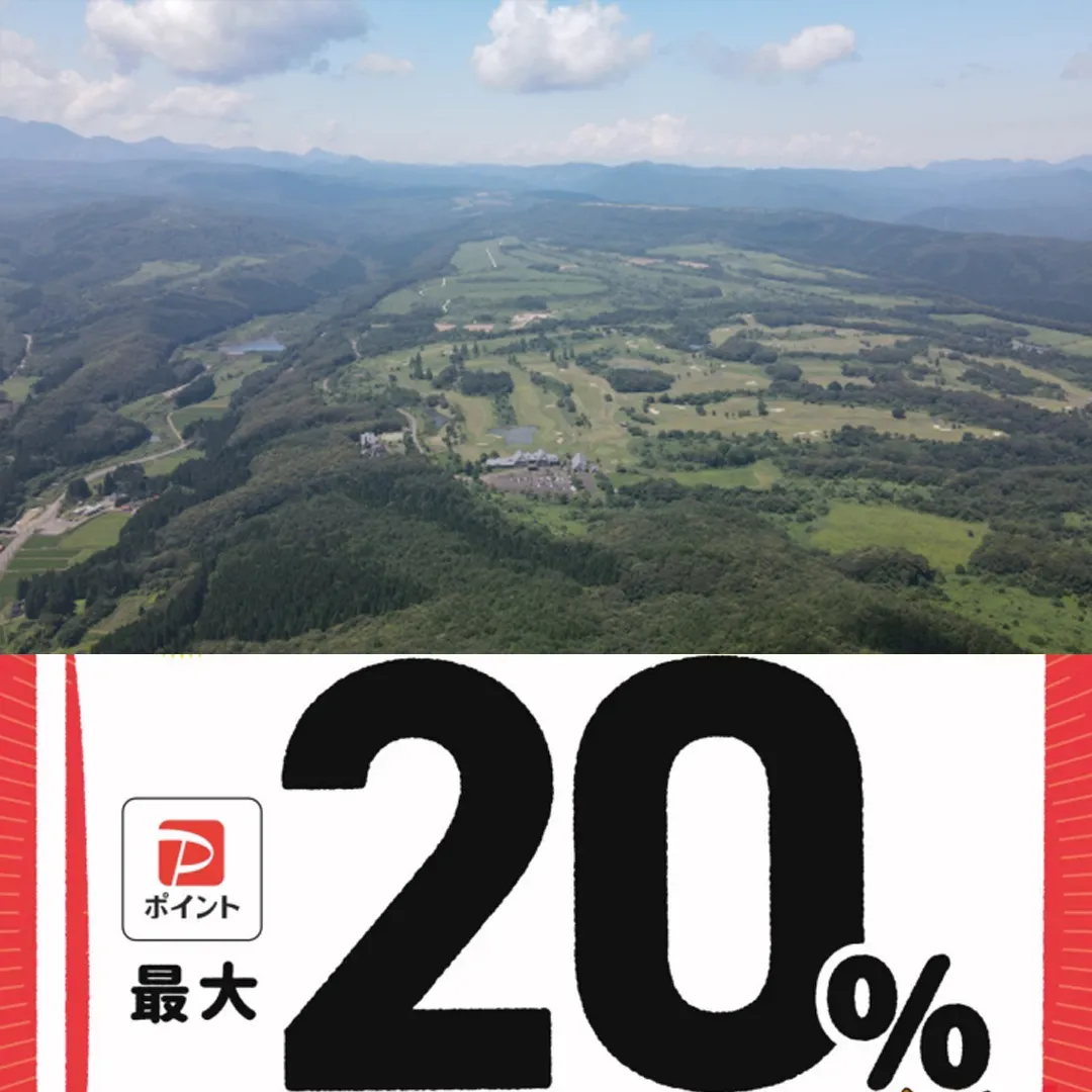 笛吹市paypay対象店舗