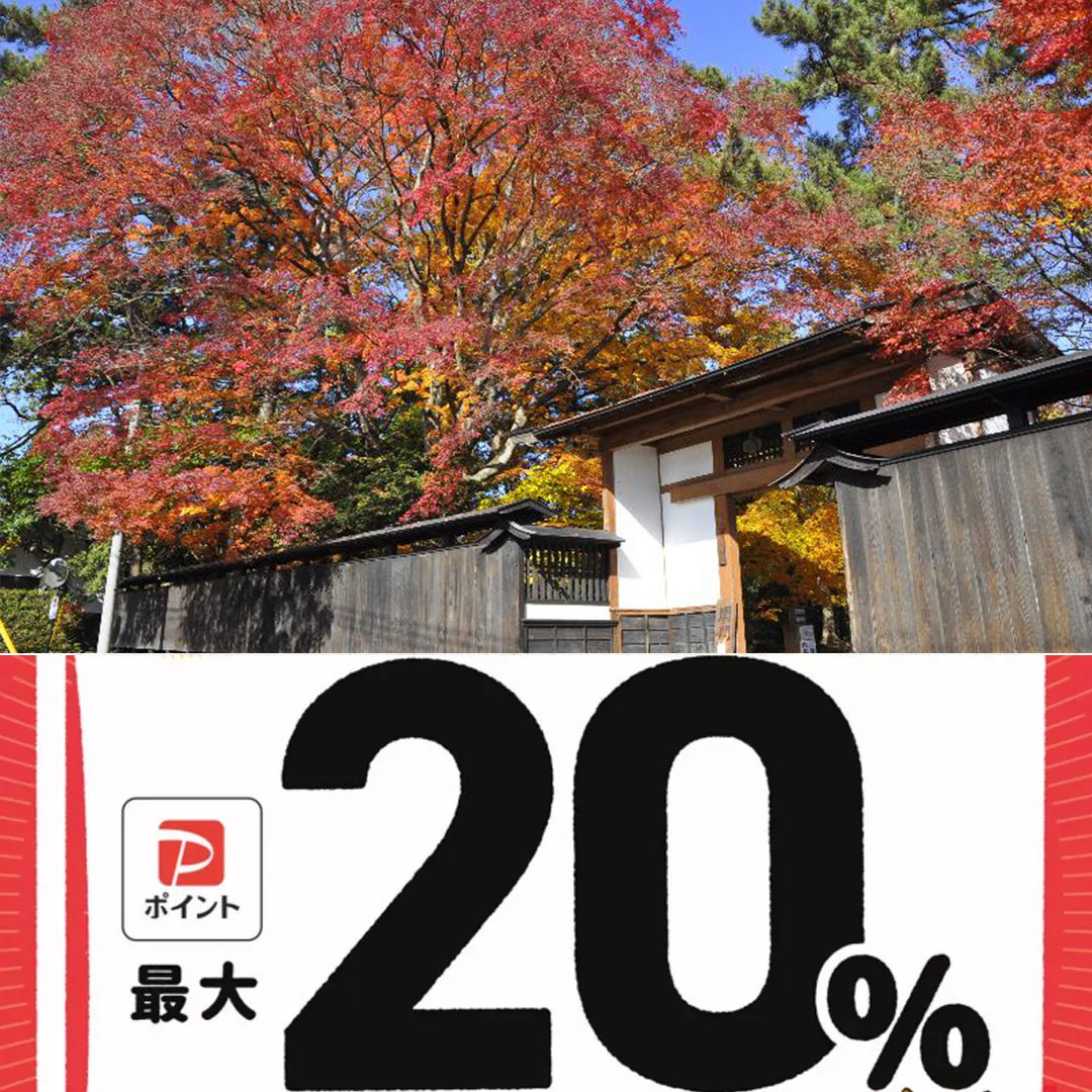 金ヶ崎町paypay対象店舗