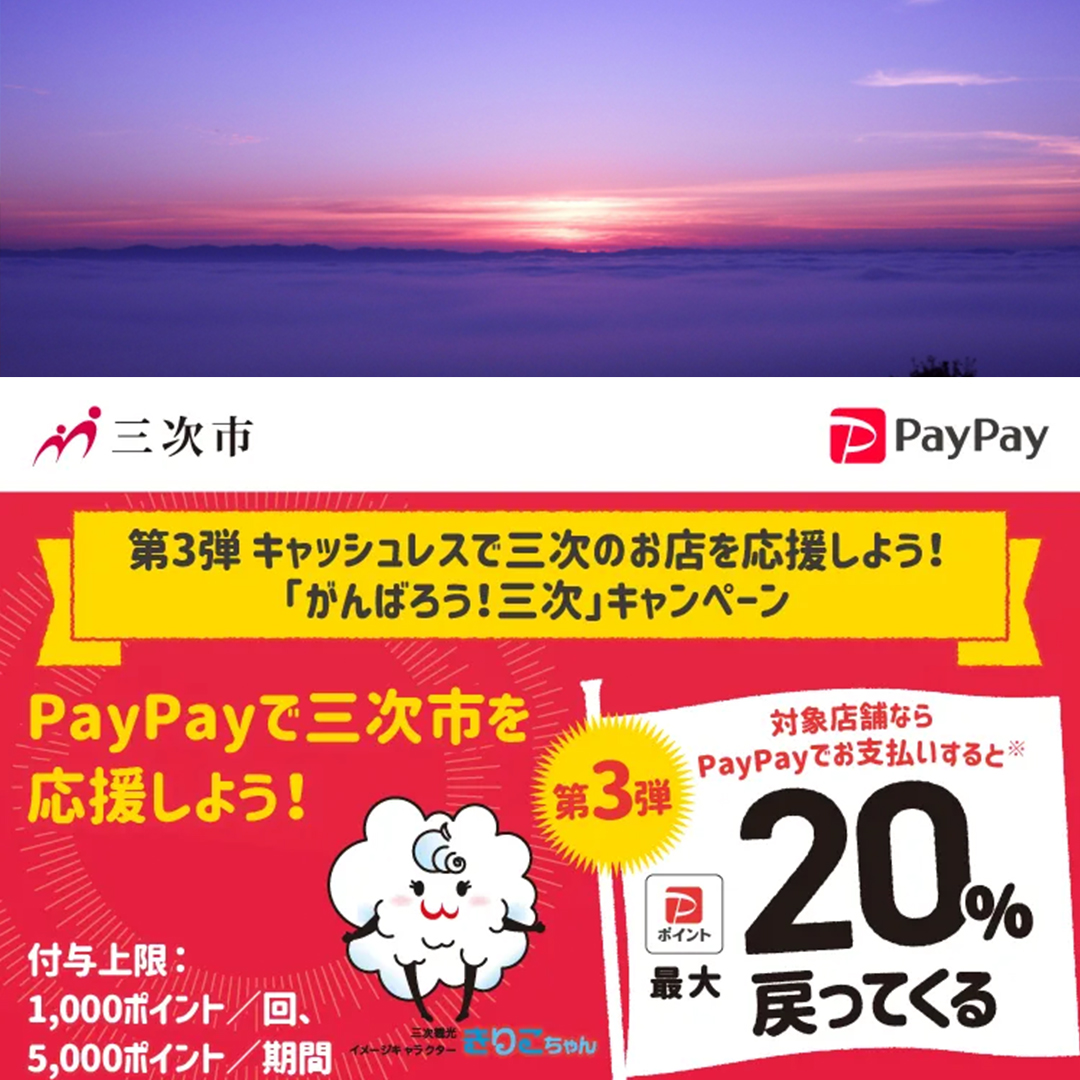 三次市paypay対象店舗