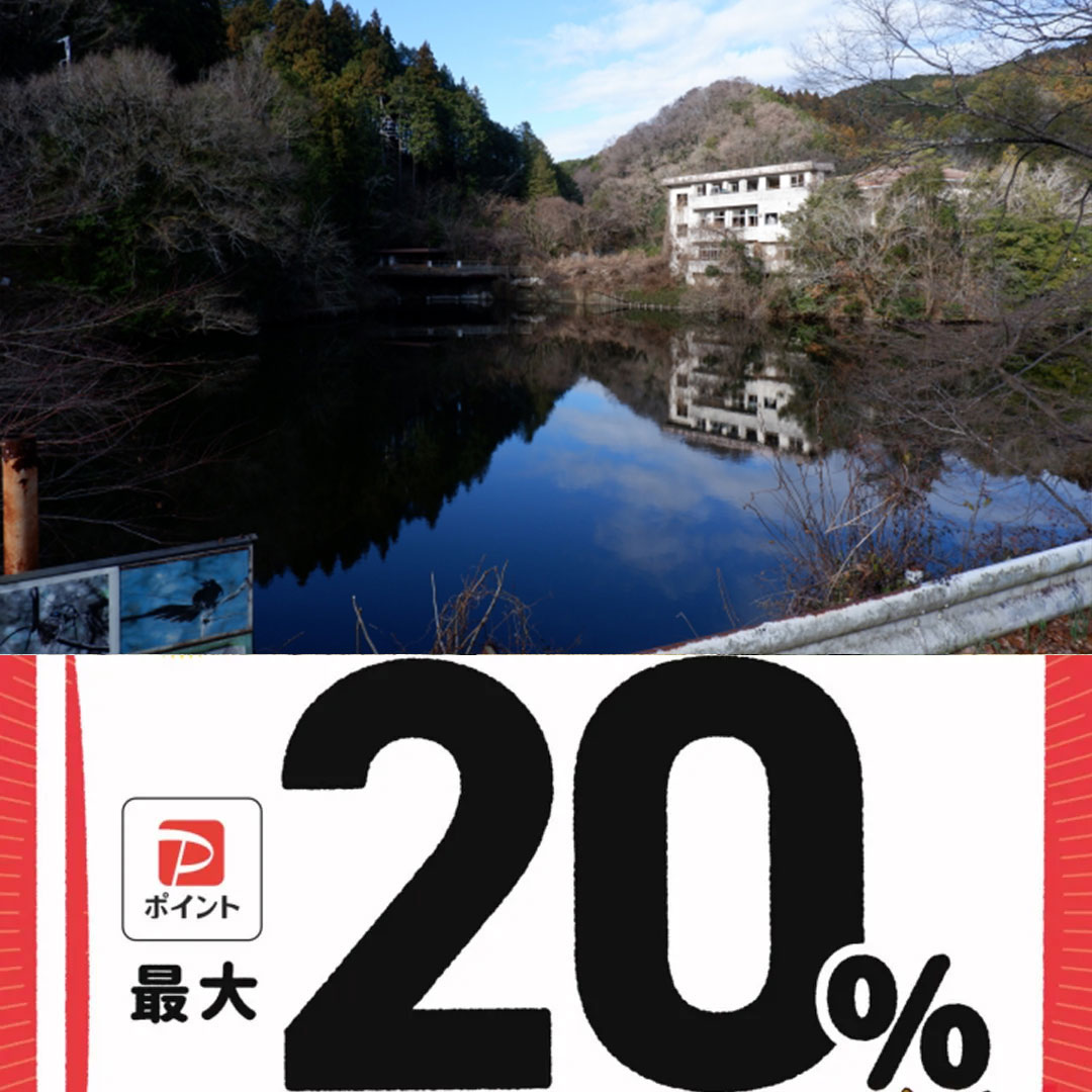 毛呂山町paypay対象店舗