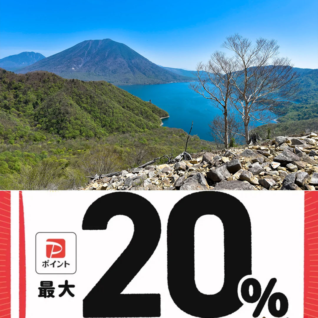 日光市paypay対象店舗