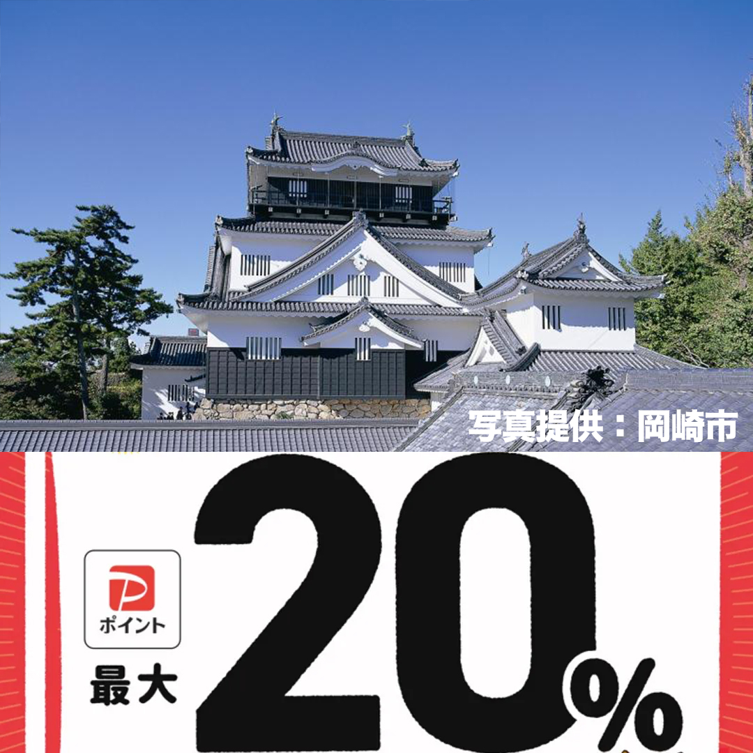 岡崎市paypay対象店舗