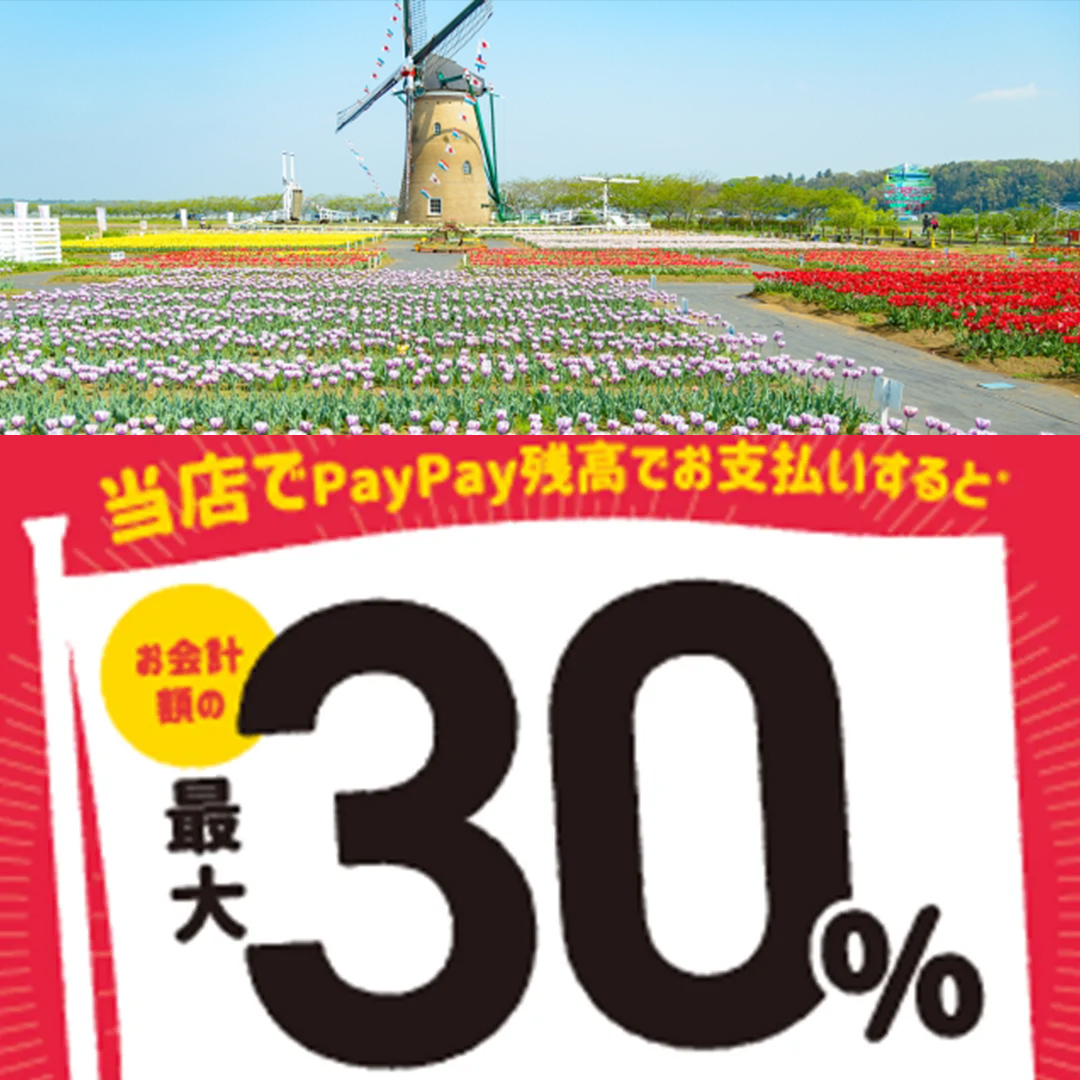 佐倉市paypay対象店舗