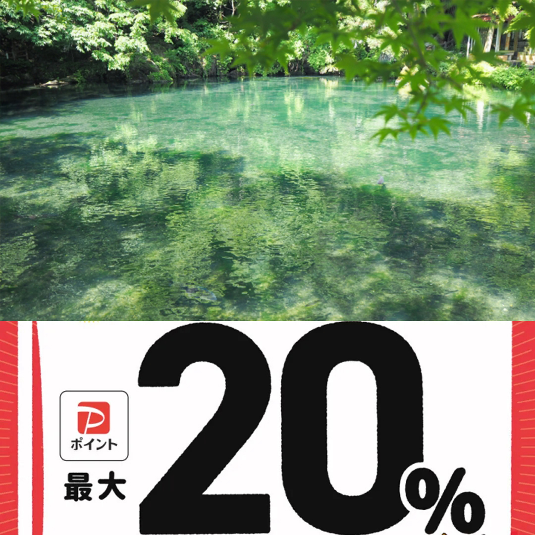 佐野市paypay対象店舗
