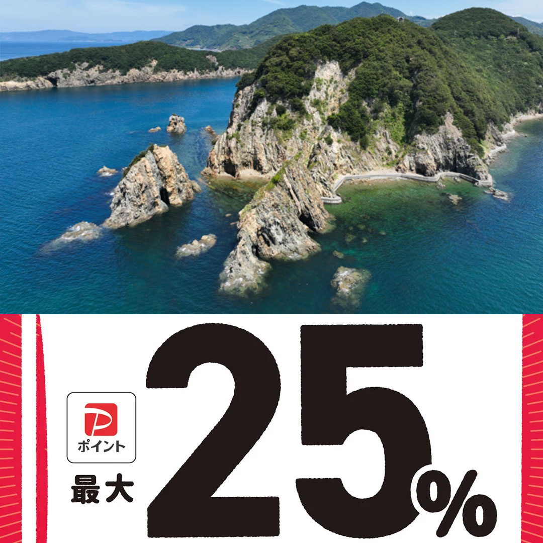 西予市paypay対象店舗