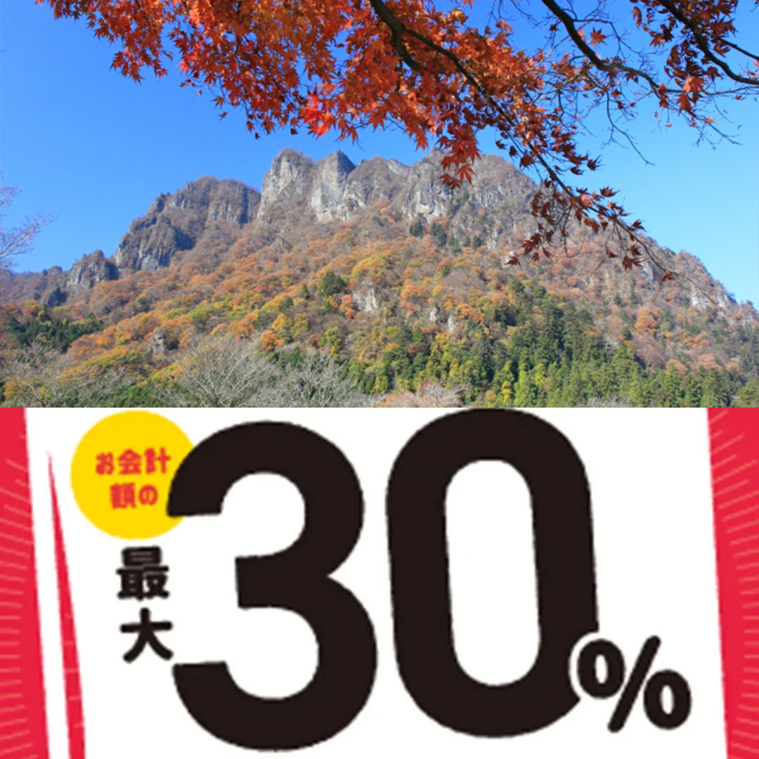下仁田町paypay対象店舗