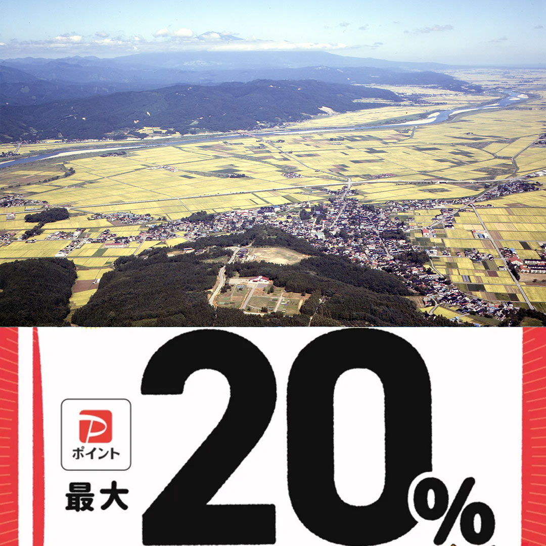 庄内町paypay対象店舗