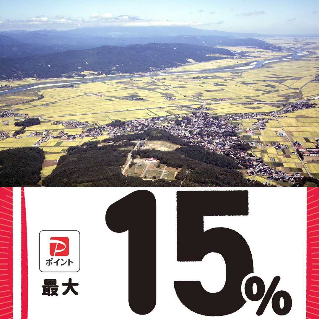 庄内町paypay対象店舗
