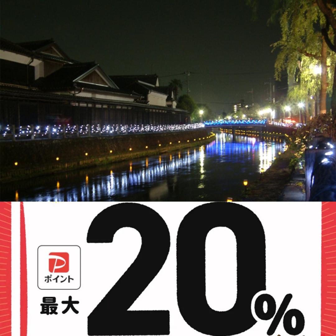 栃木市paypay対象店舗