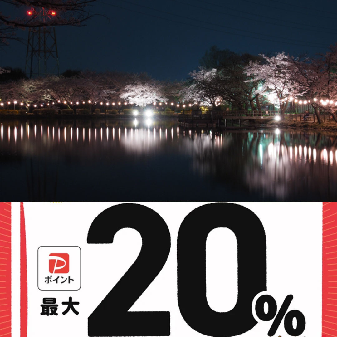 鶴ヶ島市paypay対象店舗