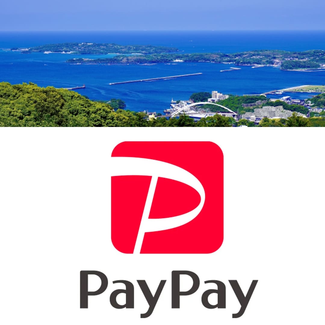 対馬市paypay対象店舗